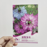 波斯宝石种子家庭简易花卉种子 Fennel Flower/Nigella Sativa/Nigella Damascena/love-in-a-mist/Ragged Lady/Devil in th