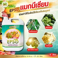 (แกลลอน 5 ลิตร) แมกนีเซียม คีเลต (เอปโซ) Mg EDTA  ช่วยทำให้ใบพืชมีสีเขียวเข้มสมบูรณ์ แมกนีเซียม คีเล