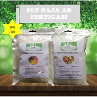 2KG/20L Set Baja AB Fertigasi Hydroponic Buah Sayur Daun Cili Hidroponik Nutrient Fertilizer Hydropo