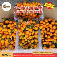 Jeruk Santang Madu 1 Keranjang Manis Tanpa Biji