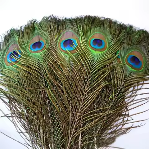 10/30/50Pcs Natural Peacock Feathers 25-30cm Bulk Eye Feather Mix for Crafts Vase Wedding Party Peac