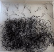 Mi Fan 4D 1 Hộp 1000 FanMi Fan Sẵn_Mi Volume Chân Keo Nhỏ Bắt Keo Xòe Đều Dày 0.07 Mi Fan Xưỡng Đẹp