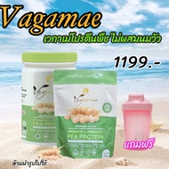 เข้าร่วมโปรแกรมส่งฟรี Vegamae โปรตีนพืช  เวกาเม่โปรตีนถั่วลันเตา  กลิ่นหอม โปรตีนพีชไม่ผสมนมวัว