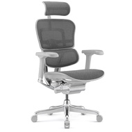 Modern Mesh Ergonomic Office Chair Grey Frame ERGOHUMAN E2