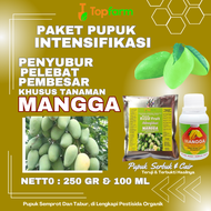 Pupuk Pohon Mangga Berbuah / Pupuk Pembesar Pohon Mangga / Pupuk Cair Untuk Pohon Mangga / Pupuk Pen