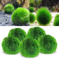 Fish Tank Aquatic Plant Living Ecological Bottle Seaweed Ball Aquarium Landscaping Decoration Green 