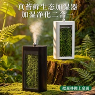 YeSight/YeSight Moss Humidifier Small Bedroom Mute Home Desktop Office Indoor Plant Fog Landscape