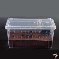 Reptile Small Snake Feeding Box Lizard Tarantula Living Cage Hatching Container for Lizard Gecko Pet