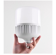 Plastic Aluminum Pillar Led Bulb , East End Cast 20W, 30W, 40W,  6500K, 3000K