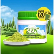 Salveo Barley Grass Juice Powder 240grams Organic