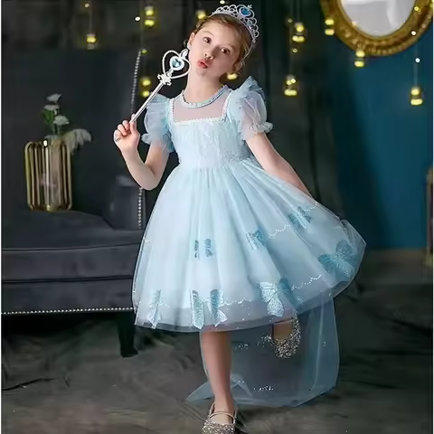Girls Princess Dresses Children's Dress Kids Puffy Saree Baby Birthday Party Dresses Evening Gowns F