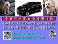 小林五座車寵物機場接送-帶毛小孩新北市新店安坑.淡水新市鎮.汐止區往返桃園機場接送機服務