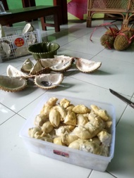 Durian Lokal Jember Kupas 1 kg