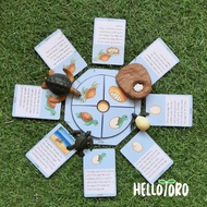Life Cycle Montessori Life Cycle/