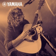 Yamaha F310 Guitar Beginner Acoustic Acoustic Guitar Girl Introductory 137cm Electric Case Yamaha F6