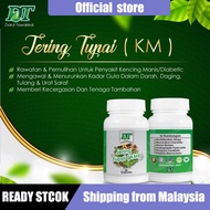 JERING TUPAI | UBAT KENCING MANIS | HERBA DIABETIS | PERIA KATAK | HERBA TRADISIONAL