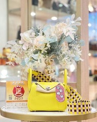 Hermes mini lindy