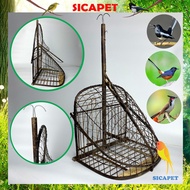 Chao Mao bird trap cage - Coal Magpie bird, Crested bird trap cage, Charcoal Magpie bird trap cage, 