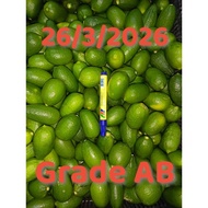 Fresh Green Lemon (Grade AB)  香水柠檬 / 新鲜青柠檬 (AB级) Direct From Farmer 青柠檬农民直销