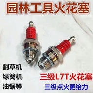 Spark Plug Agricultural Machinery Microcultural Machinery Polishing Machine Lawn Machine 168F170/F7T