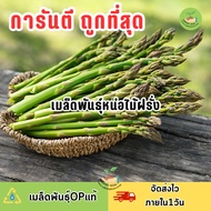 ถูกที่สุด เมล็ดพันธุ์หน่อไม้ฝรั่ง