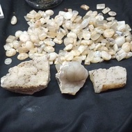 batu mani gajah puteh