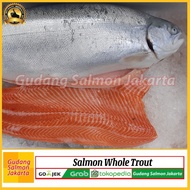 ECERAN Salmon Utuh Ekoran/salmon Whole/salmon/ikan salmon 1 ekor segar