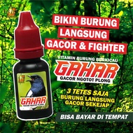 DOPING VITAMIN BURUNG BERKICAU GACOR POLL MAKSIMAL - KACER POCI