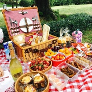 Insulation Picnic Basket Camping ins Basket Supplies Influencer Rattan Folding Wicker Full Set Porta