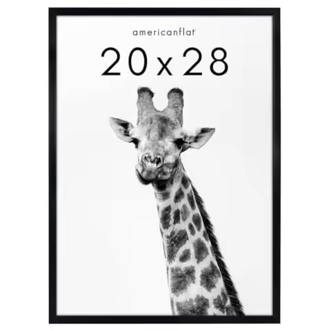 20x28 Picture Frame with Polished Plexiglass - Soho Collection - Gallery Style Deep Molding Picture 