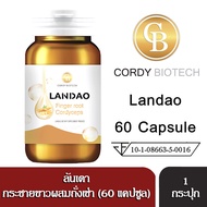 LANDAO ลันเดา กระชายขาวผสมถั่งเช่า  ช่วยเสริมภูมิต้านทานในร่ายกายให้แข็งแรง บรรจุ 60 เเคปซูล