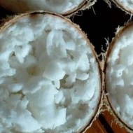 Kelapa Kopyor Isi Tebal Asli Pati Genjah Ukuran S