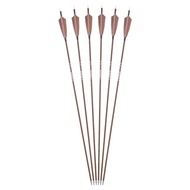 12pcs Wood Grain Pure Carbon Arrows 340 Spine 83cm 4" Brown Feathers
