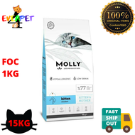 MOLLY Kitten & Mother 15KG FOC 1KG Dry Cat Food