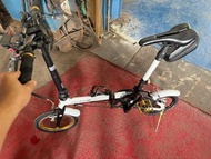 K3 dahon