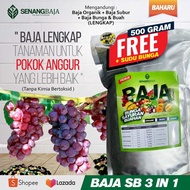 Baja 3 IN 1 SB Pokok Anggur Pack Jimat Organik + Subur + Buah 1000gram + free 500gram READY STOCK