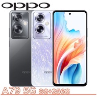 OPPO A79 5G 8G+256G