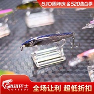 [Artificial Bait Bus] JAY High-Quality Lure Display Stand Artificial Bait Display Stand Bait Display