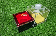 Ants Subang Modular Ant Nest (Customize) + Ant Colony