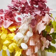 Immortal Bleaching Apple Leaf White Eucalyptus Leaf Immortal Flower Bouquet Eucalyptus Dried