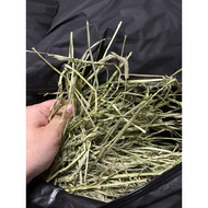 Fish🥰🥰soft premium double compress timothy hay fresh Frist cut