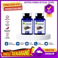 TERBARU MERIAL RED PINE ASLI KOREA TERLARIS