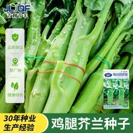 [Local Growing] Chicken Thigh Mustard Seed Mustard Vegetable Seed Chaoshan Red Mustard Vegetable See