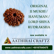 Original 11 (Eleven) Mukhi / Hanuman / Shiva Rides kegs