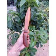 KAYU Wooden BADIK - Toy BADIK - KRIPEN Dagger - Wooden Dagger - Toy Dagger - Props Dagger