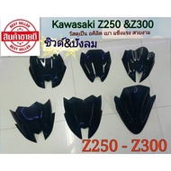 Front Windshield & Z250-Z300