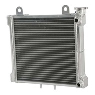 Motorcycle C3 Aluminum Radiator For Canam Ds650 2001-2005 Ds650x 2004-2007 Ds650 Ba 2002-2004 3