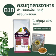 Nutribird B18 Pellet Bird Food For Small-Medium Birds Parent Hair Transplant Protein (Sold Separatel