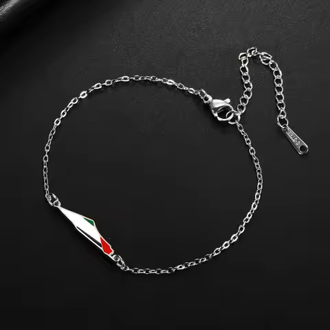My Shape Palestine Map Flag Charms Bracelets for Women Stainless Steel Palestine Country Geography M