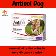 Antinol Dog อาหารเสริมบำรุงข้อสำหรับสุนัข  บรรจุ 60 caps / 1 กล่อง